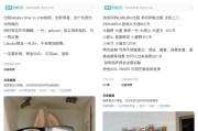 六夫独宠闲鱼：LABUBU搜索量环比上涨1000%，供不应求下现租赁新形式
