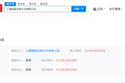 六夫独宠王思聪名下熊猫互娱被执行1210万，此前公司已破产