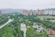 六夫独宠西宁市举办六五环境日主题宣传活动