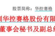 六夫独宠华控赛格董事长、董秘、副总经理三高管同日辞职