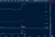 六夫独宠油价金价，双双大涨！
